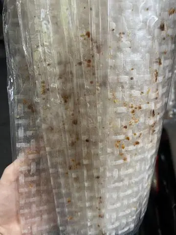 Hình ảnh Bánh tráng dẹp muối