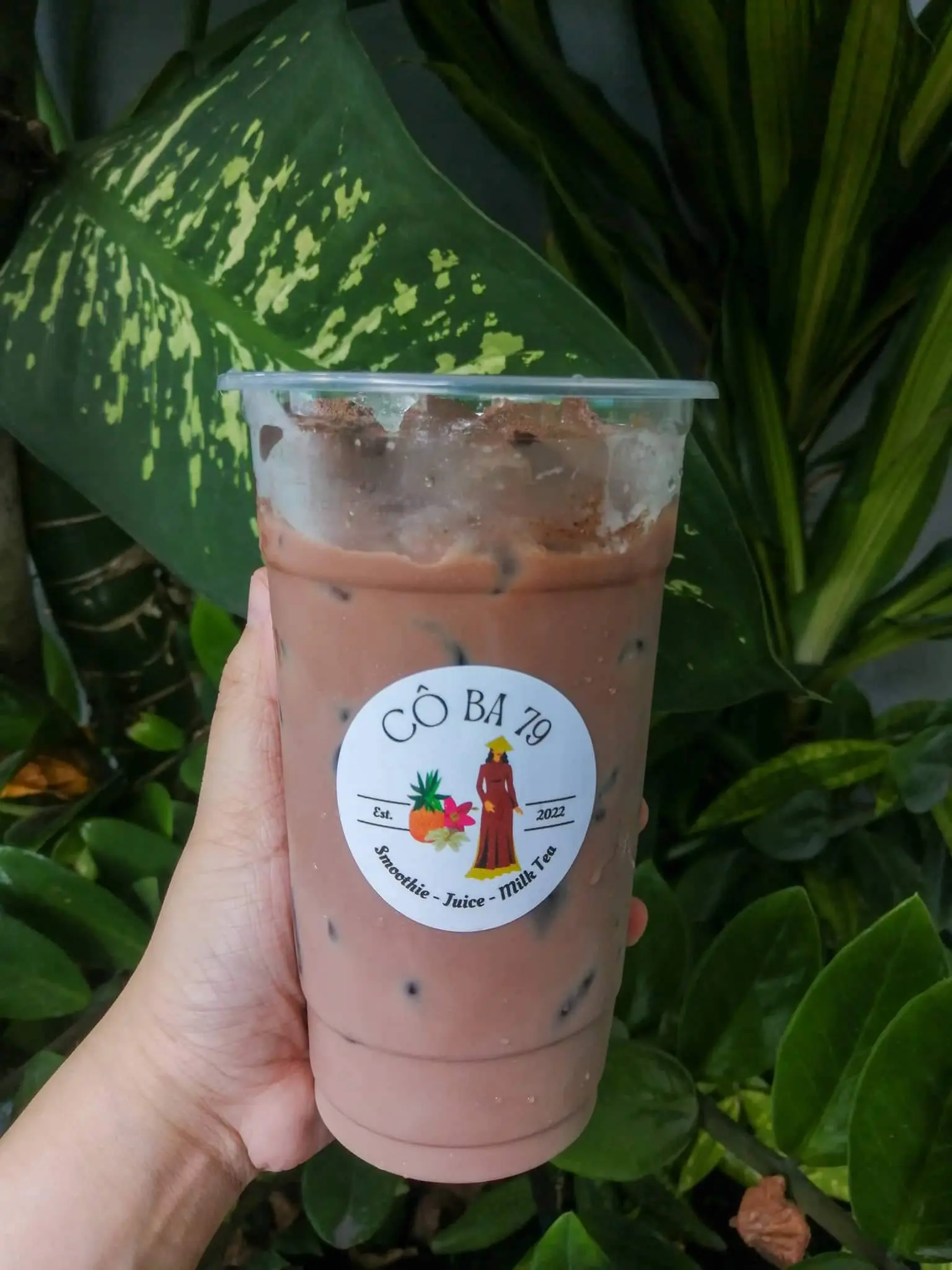 Hình ảnh Cacao Sữa