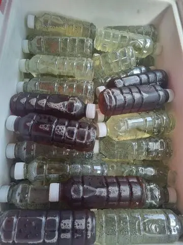 Hình ảnh Sâm lạnh