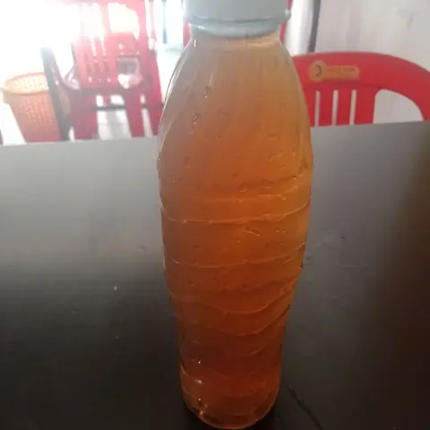 Hình ảnh Sâm Lạnh 