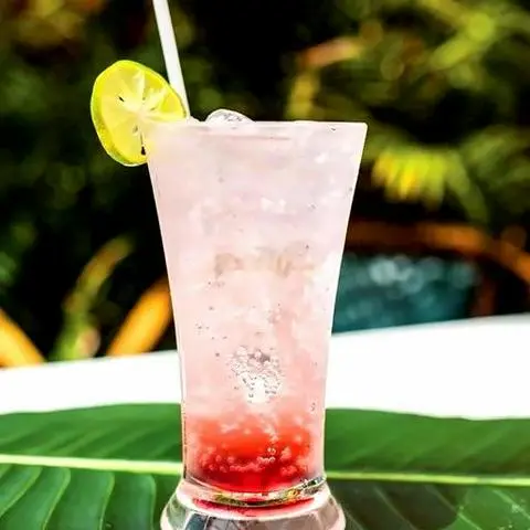Hình ảnh SoDa Phúc Bồn Tử - Size L 