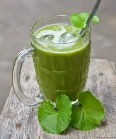 Hình ảnh Rau má nguyên chất ( ly khổng lồ)