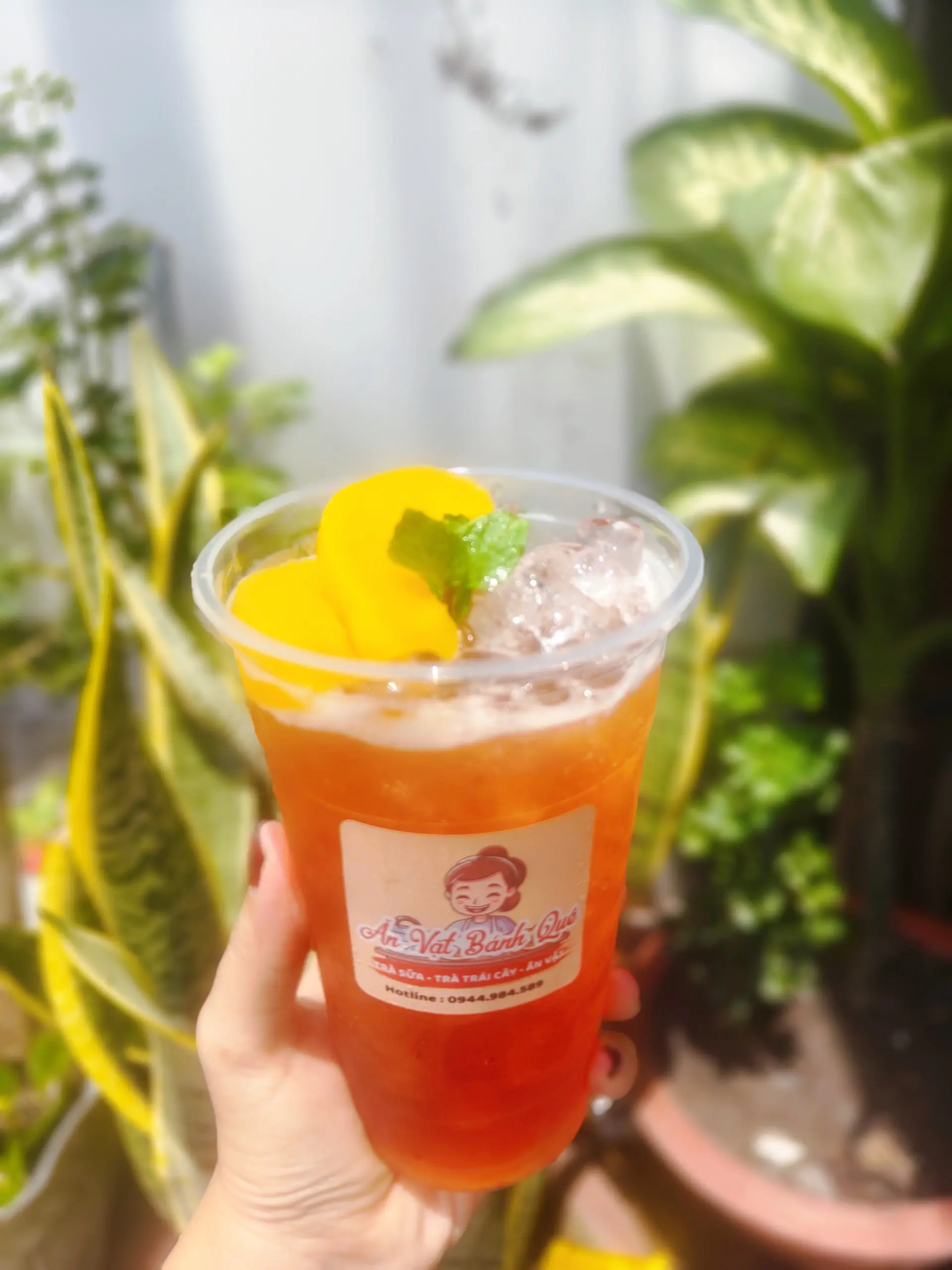 Hình ảnh Trà đào