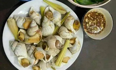 Hình ảnh Ốc Bulot
