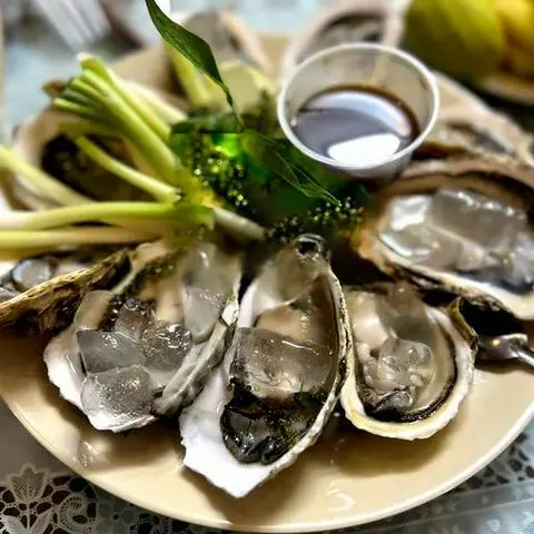 Hình ảnh 10 Hàu sống sashimi
