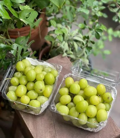 Hình ảnh Nho xanh Úc cắt sẵn