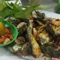 Hình ảnh Ếch Chiên Giòn - 1 con