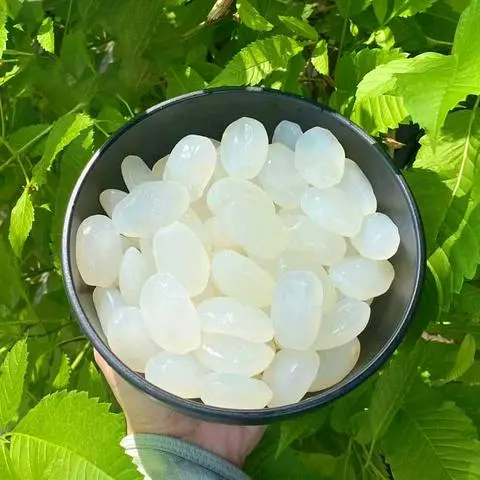 Hình ảnh Hạt đác
