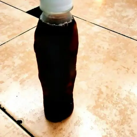 Hình ảnh Sâm bông cúc