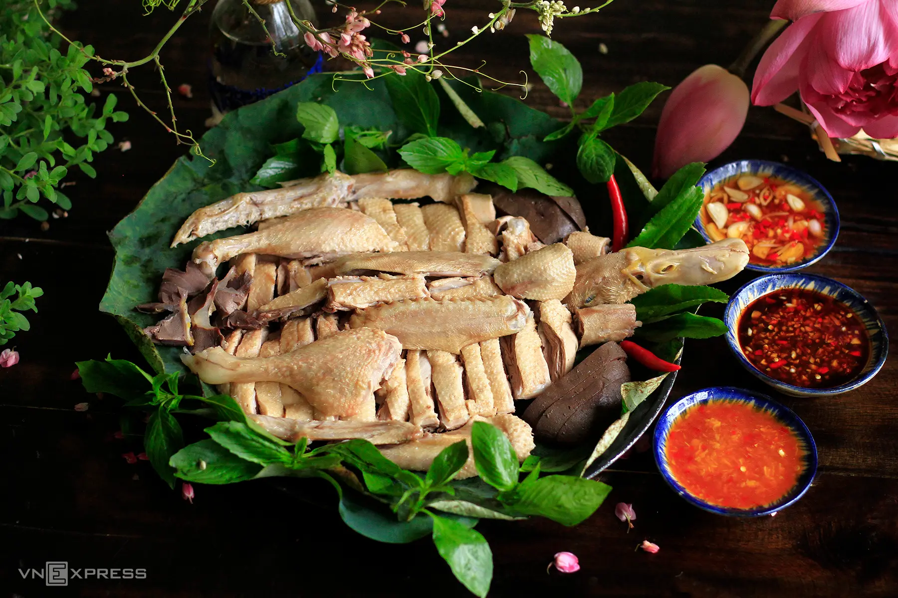 Hình ảnh Phần Nguyên Con - không có Lòng, Đầu cổ, Cánh