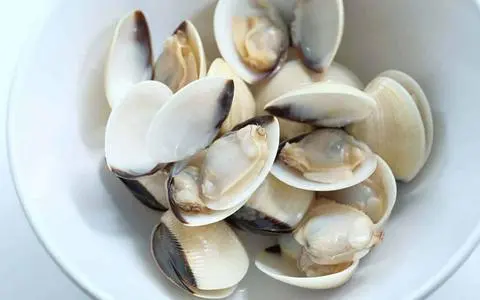 Hình ảnh Nghêu