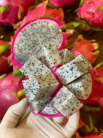 Hình ảnh Thanh Long Trắng Cắt Sẵn