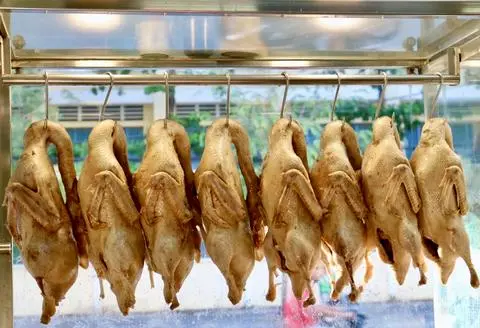 Hình ảnh Vịt Nguyên Con