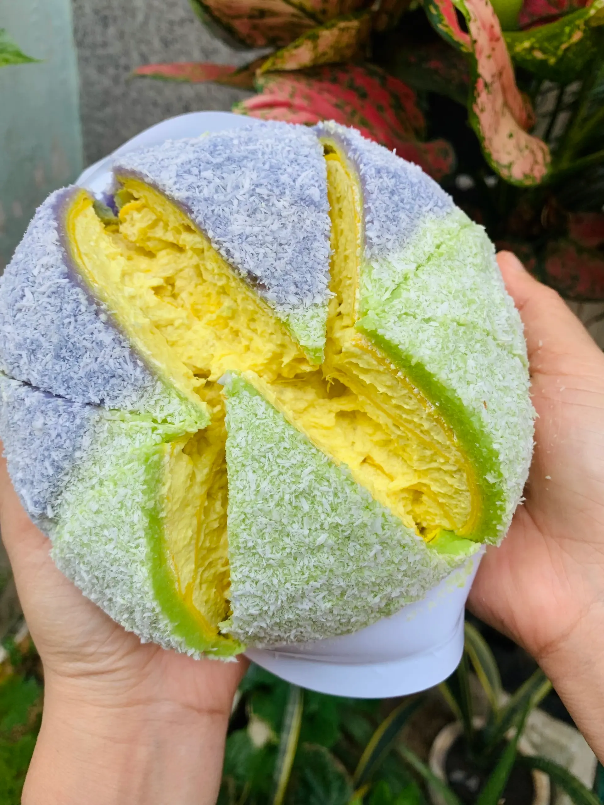 Hình ảnh bánh phú sĩ mix lá dứa khoai môn size 14cm