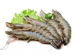 Hình ảnh Tôm Thêm
