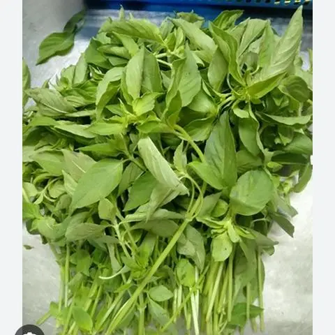 Hình ảnh lá é  kèm lẩu 