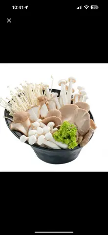 Hình ảnh Nấm ăn lẩu