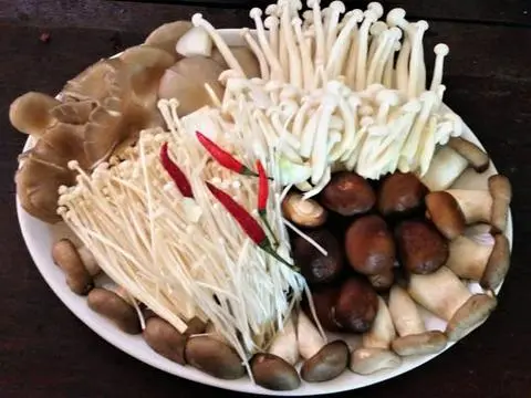 Hình ảnh Các loại nấm thêm