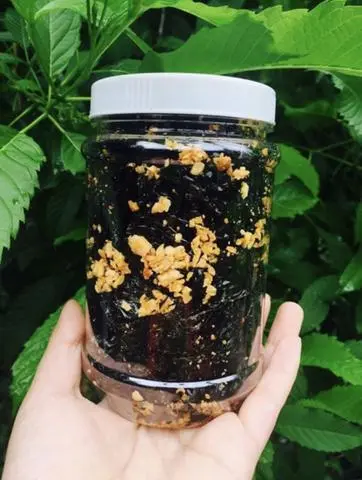 Hình ảnh Rong Biển Cháy Tỏi ( Hủ)