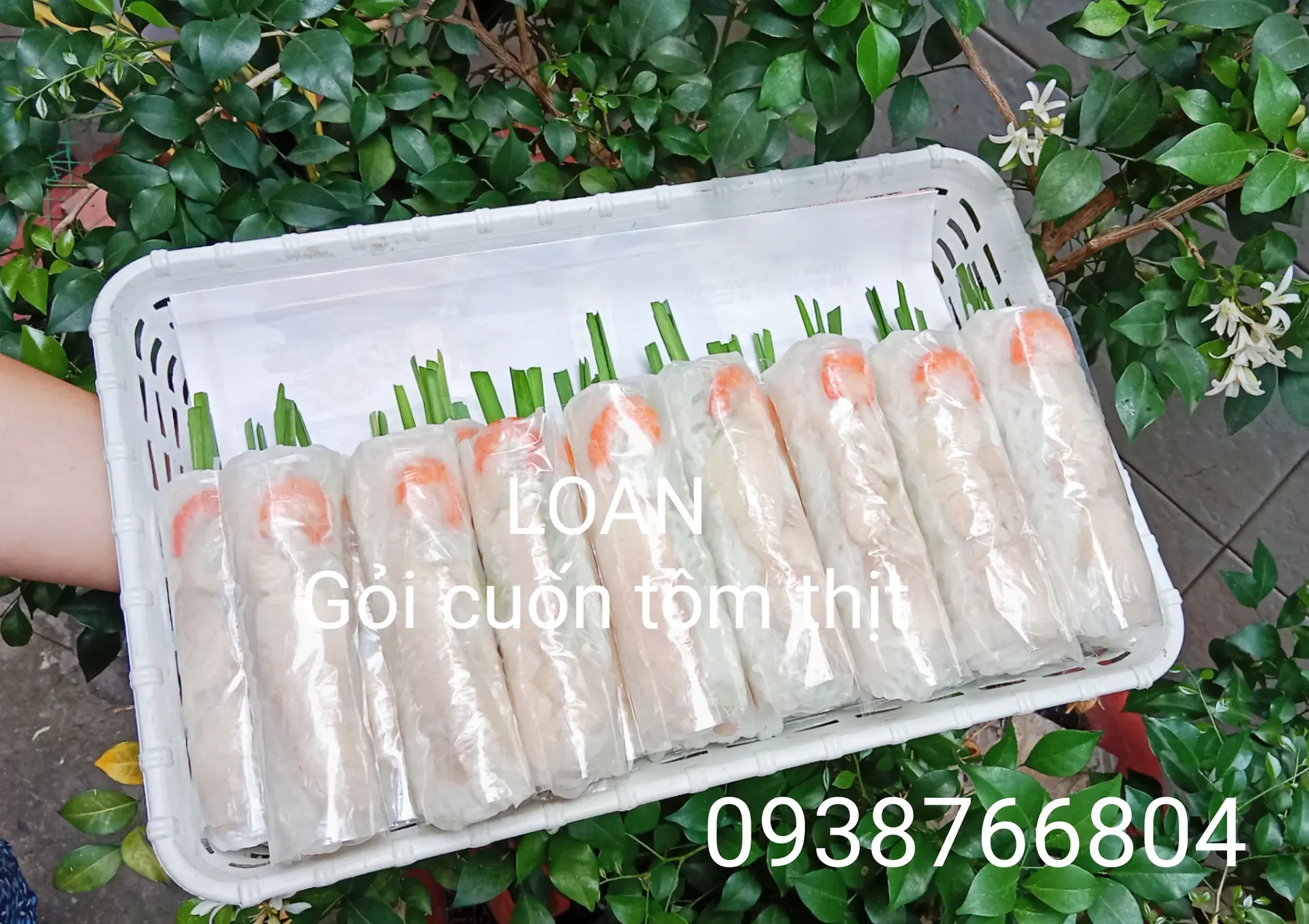 Hình ảnh Combo 4 ( 5 cuốn tôm thịt + 1 trà đào dằm )