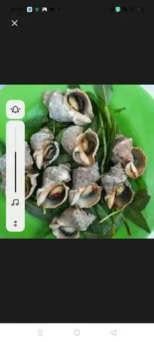 Hình ảnh Ốc gai nướng