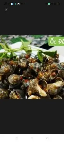 Hình ảnh Ốc gai xào sả ớt