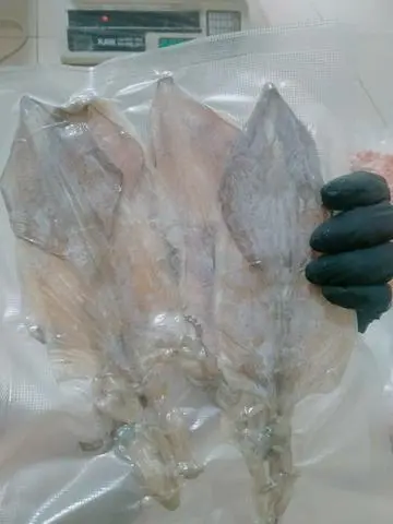 Hình ảnh Sét 4con khô mực y hình 