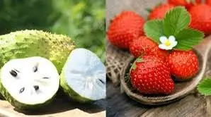 Hình ảnh Sinh Tố Dâu Tây Mãng Cầu 