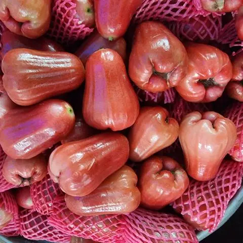 Hình ảnh Mận An Phước