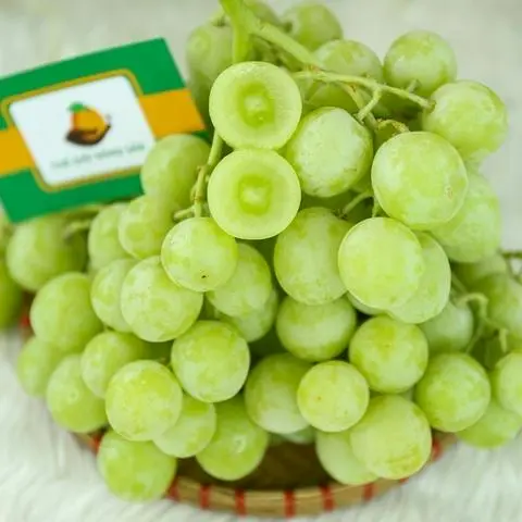 Hình ảnh NHO XANH ÚC (1kg ) 