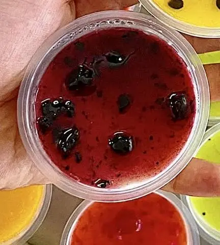 Hình ảnh panacotta vị việt quất(3hộp)