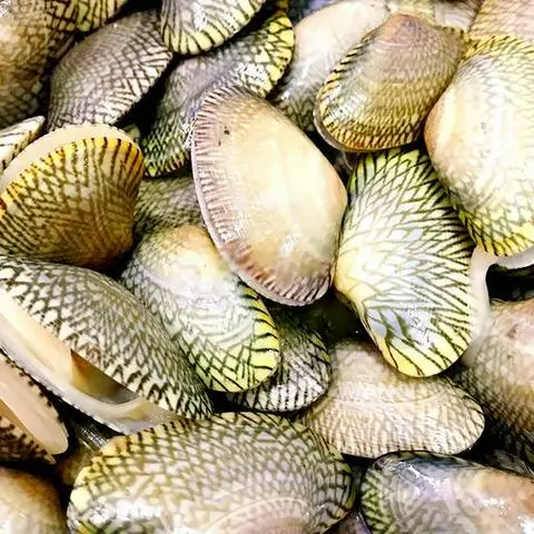 Hình ảnh Sò nhí xào bơ tỏi