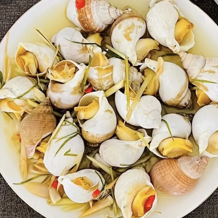 Hình ảnh ỐC BULOT PHÁP