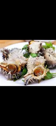 Hình ảnh ỐC BÚA NƯỚNG TIÊU 