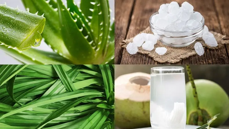 Hình ảnh Dừa Xiêm Lá Dứa Nha Đam/Ly Lớn