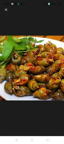 Hình ảnh Ốc cà na rang muối