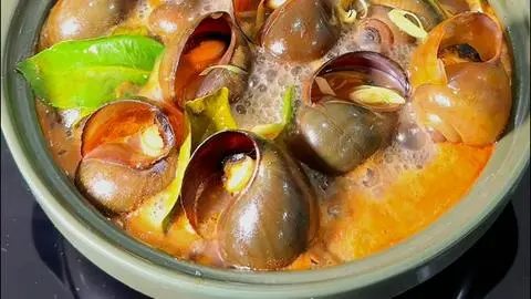 Hình ảnh ốc bươu hấp thái 