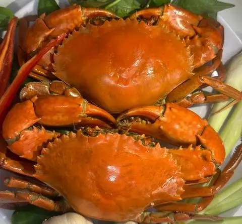 Hình ảnh 02 CUA THỊT SIZE TO VỪA  ( 560~640 Gr)
