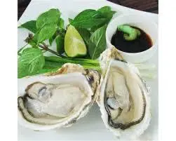 Hình ảnh Hàu Sống Lớn (1 con)