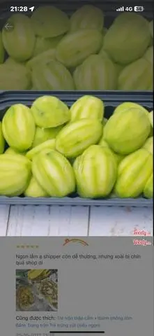 Hình ảnh CÓC NON CHẤM MẮM RUỐC