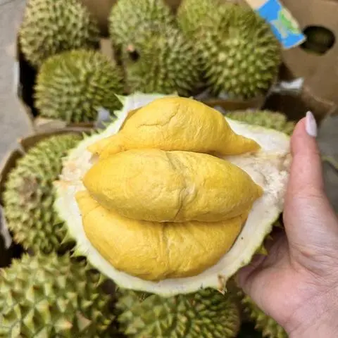 Hình ảnh 300g Cơm Sầu Thái sượng nhẹ