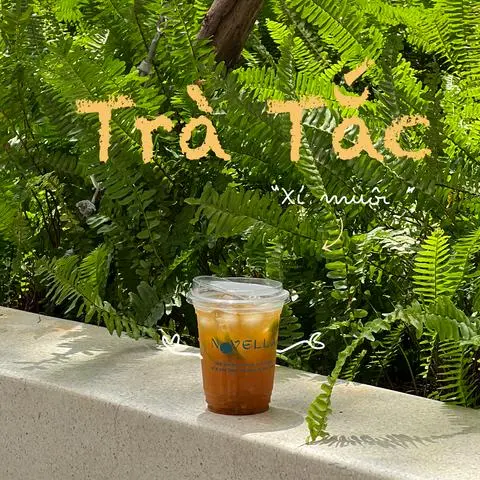 Hình ảnh Trà tắc xí muội