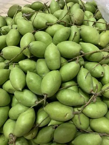 Hình ảnh CÀ NA SỐNG NHÀ TRỒNG 100Gr