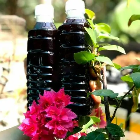 Hình ảnh Nước đậu đen rang đường phèn