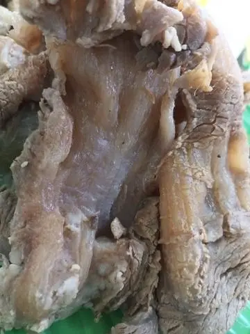 Hình ảnh Chén Gân Thêm