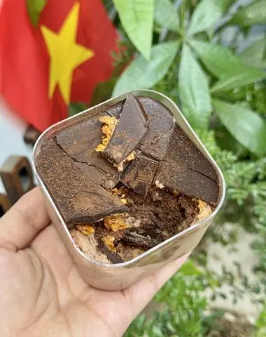 Hình ảnh Choco Dream Cake