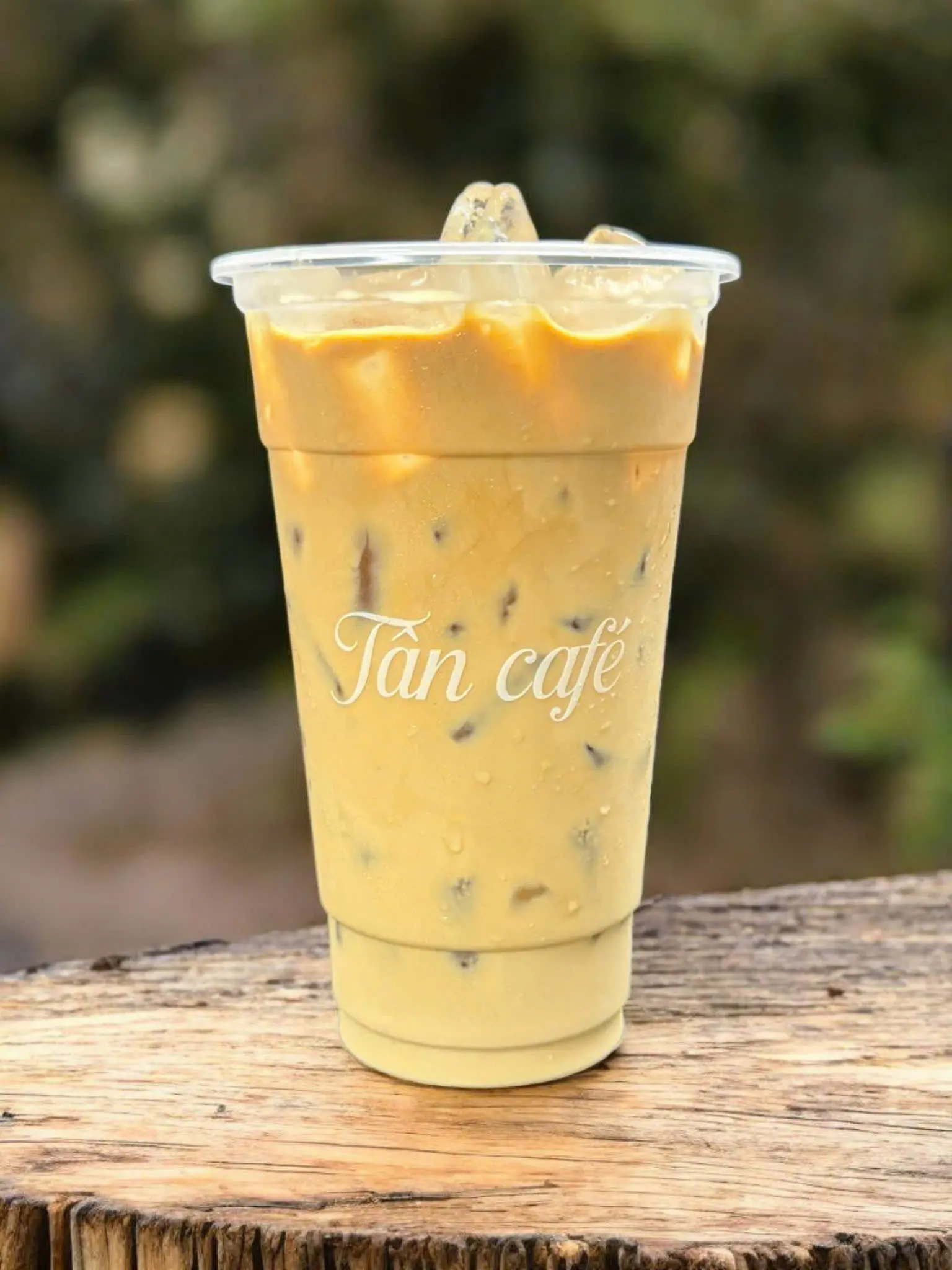 Hình ảnh TSL - Trà Sữa Lài (Size L)