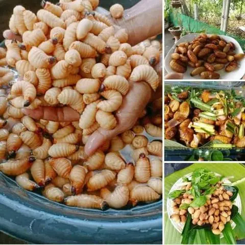 Hình ảnh ĐUÔNG DỪA 10CON XÀO BƠ TỎI