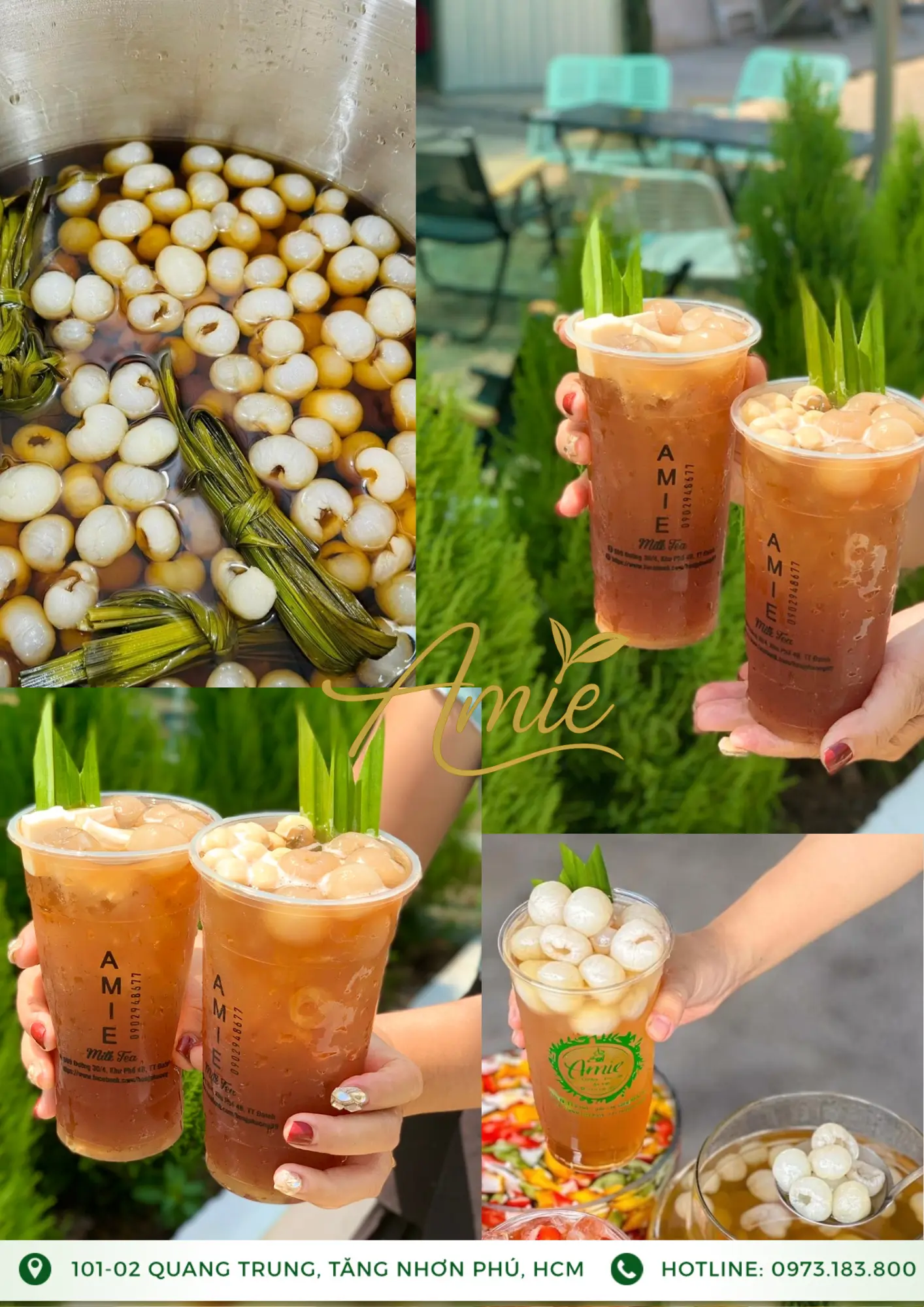 Hình ảnh Trà long nhãn Thái Lan