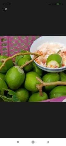 Hình ảnh Cóc Non  1kg - muối tôm